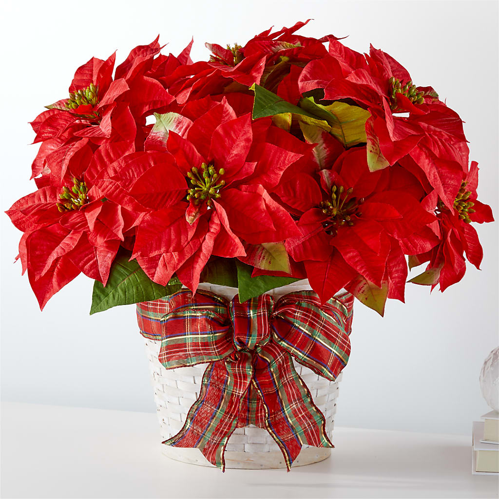 Happiest Holidays Poinsettia – Blakley Flower Shop Llc, Blakely GA