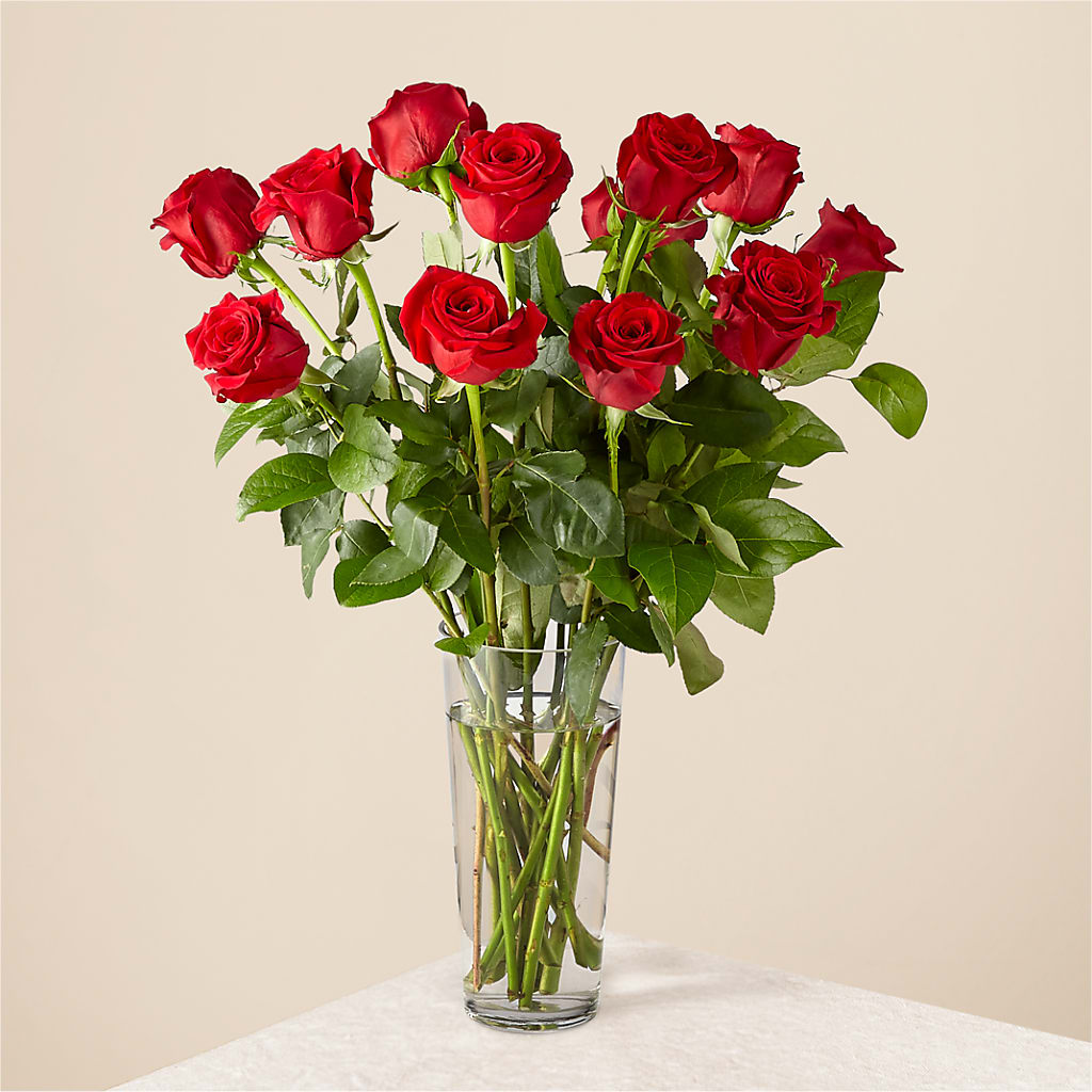 Long Stem Red Rose Bouquet – Blakley Flower Shop Llc, Blakely GA