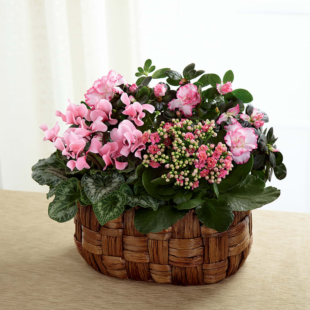 Pink Assortment – Blakley Flower Shop Llc, Blakely GA