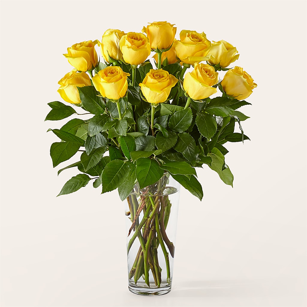 Long Stem Yellow Rose Bouquet – Blakley Flower Shop Llc, Blakely GA