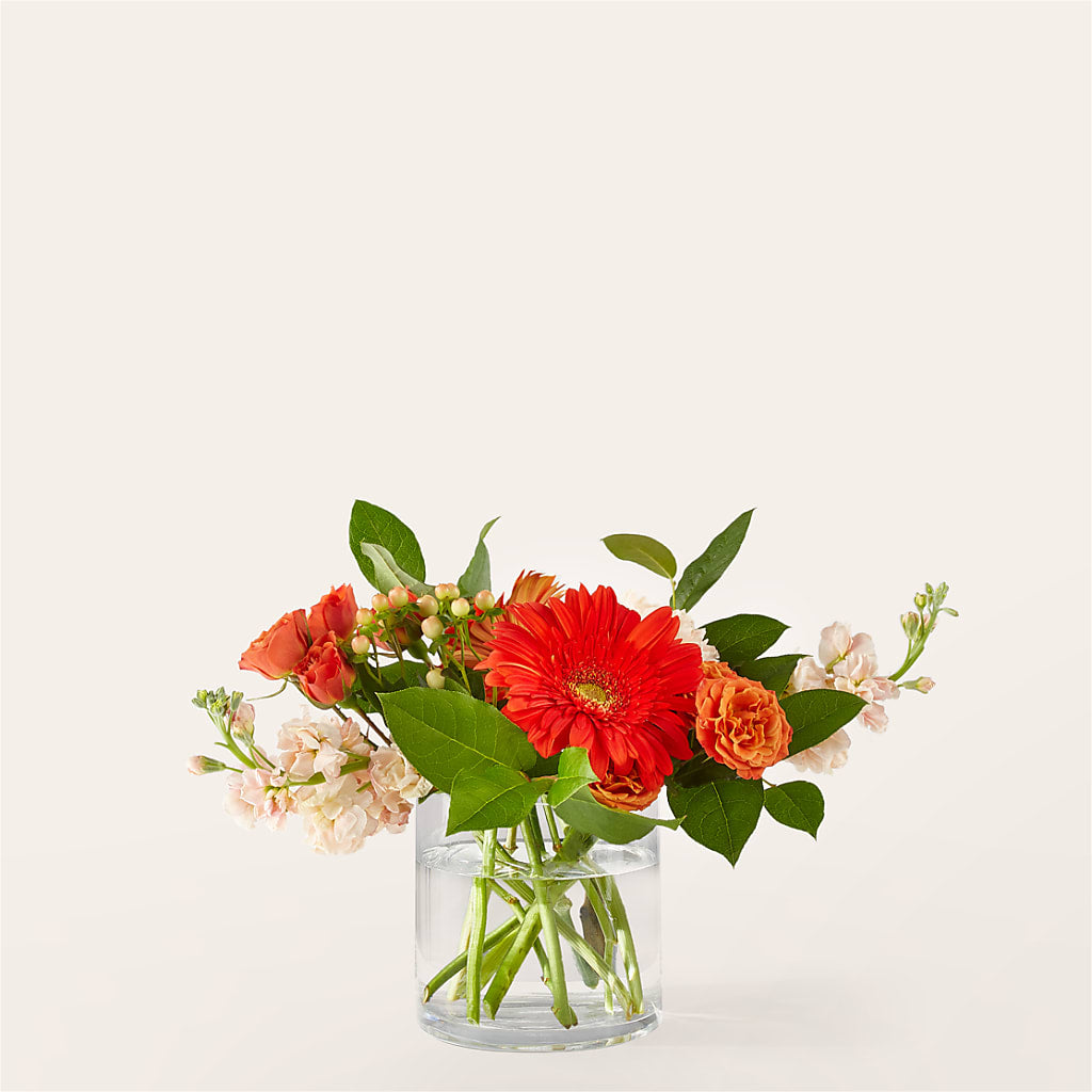 Paloma Please Bouquet – Blakley Flower Shop Llc, Blakely GA