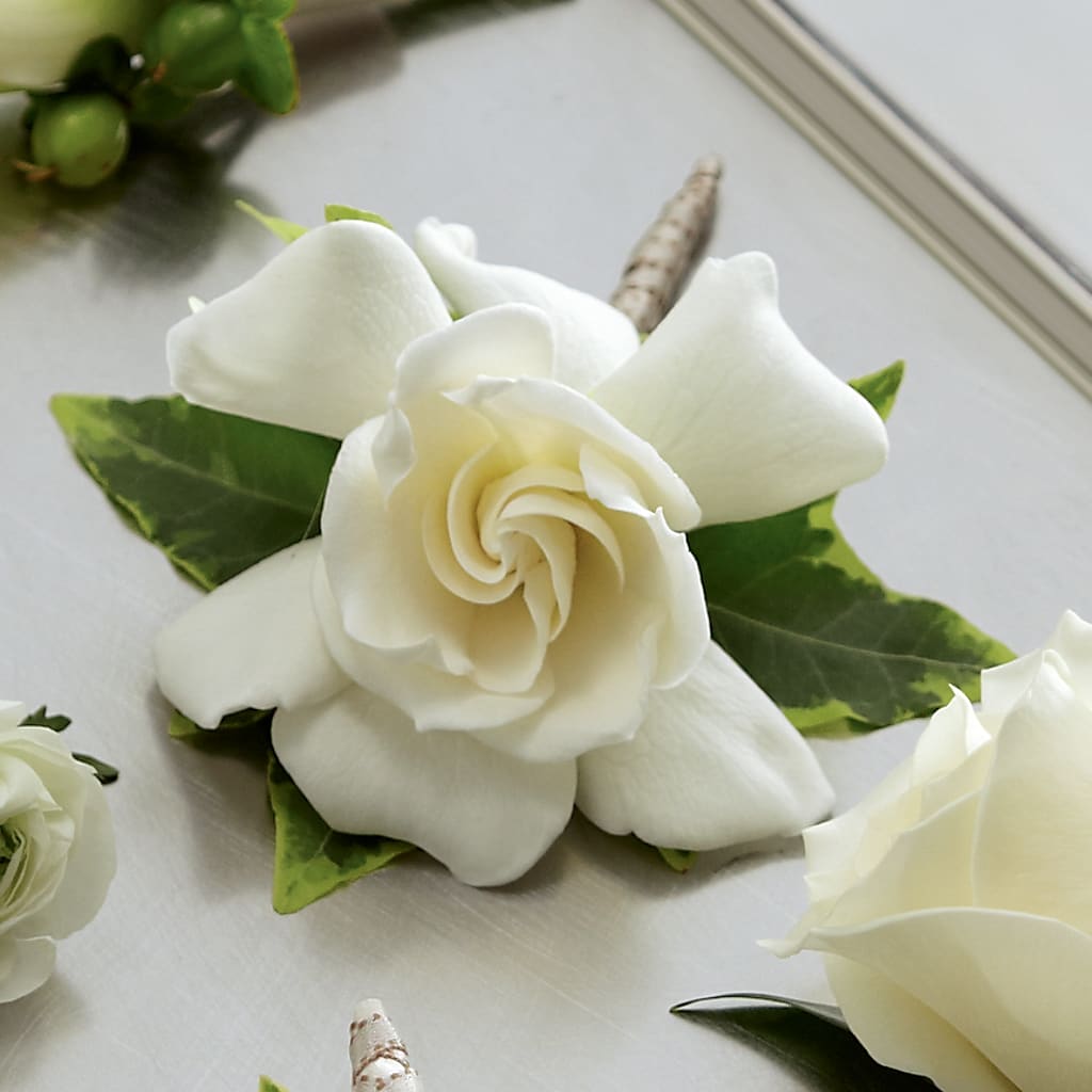 Gardenia Boutonniere – Blakley Flower Shop Llc, Blakely GA