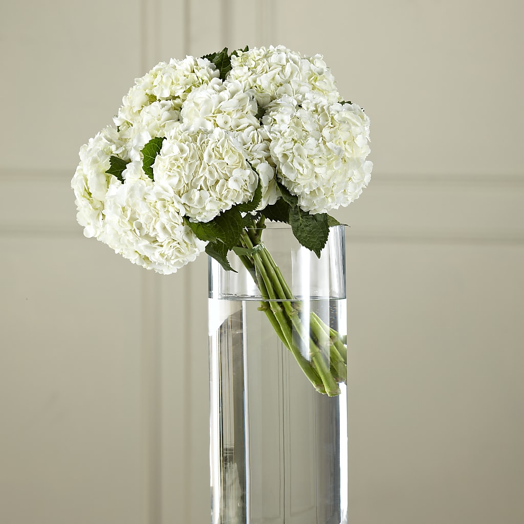 White Hydrangea Hand-Tied Bouquet – Blakley Flower Shop Llc, Blakely GA