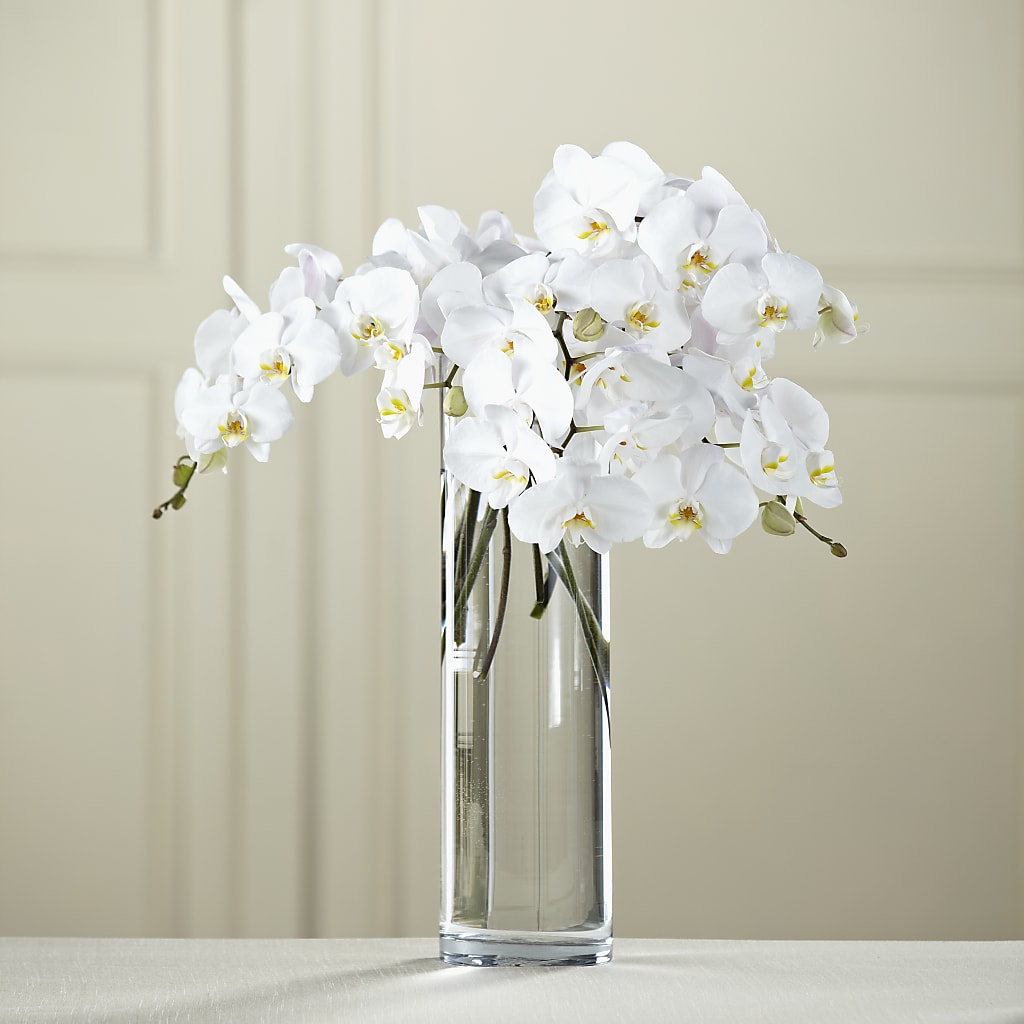 White Phalaenopsis Bouquet – Blakley Flower Shop Llc, Blakely GA