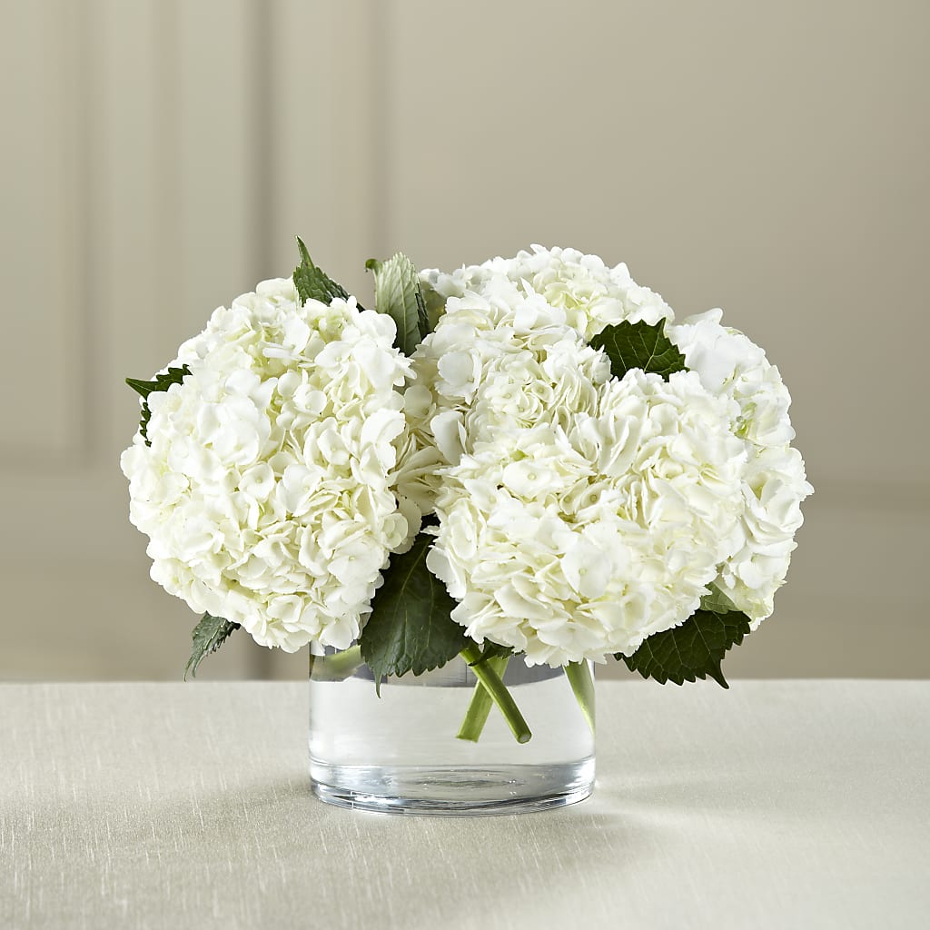 White Hydrangea Bouquet – Blakley Flower Shop Llc, Blakely GA