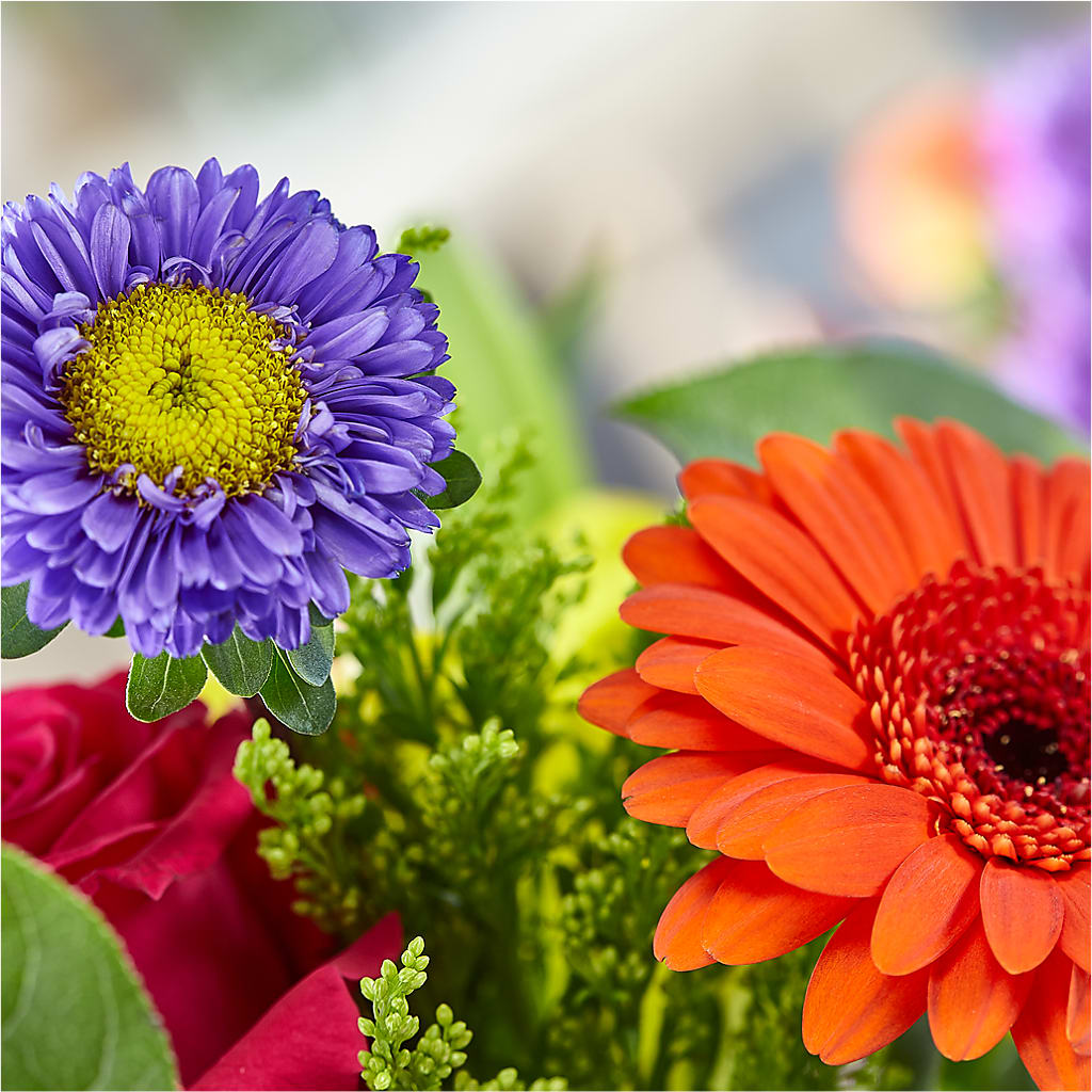 Bold & Bright – A Florist Original –  Blakley Flower Shop Llc, Blakely GA