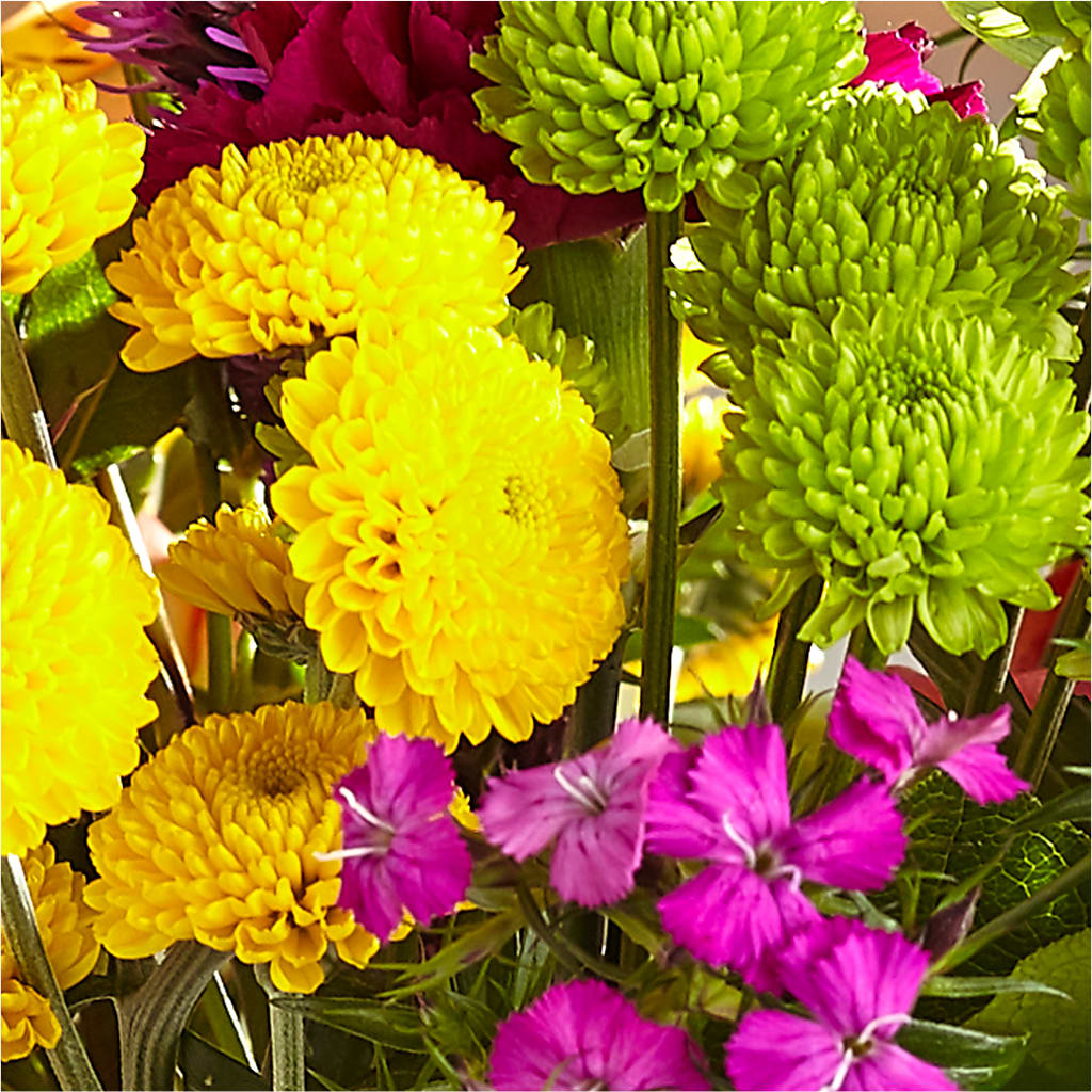 Bold & Bright – A Florist Original –  Blakley Flower Shop Llc, Blakely GA