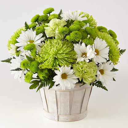 Lucky Charm Basket (Standard) –  Blakley Flower Shop Llc, Blakely GA