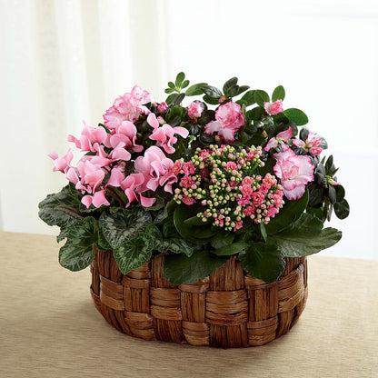 Pink Assortment –  Blakley Flower Shop Llc, Blakely GA