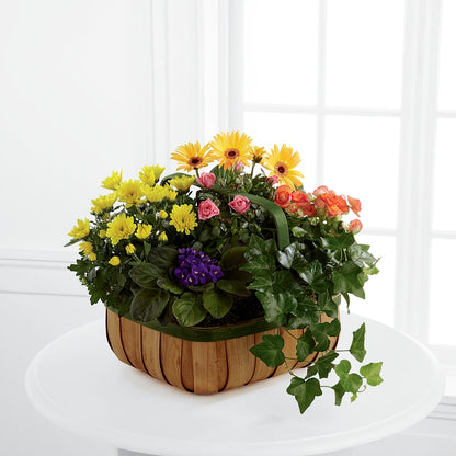 Gentle Blossoms Basket –  Blakley Flower Shop Llc, Blakely GA