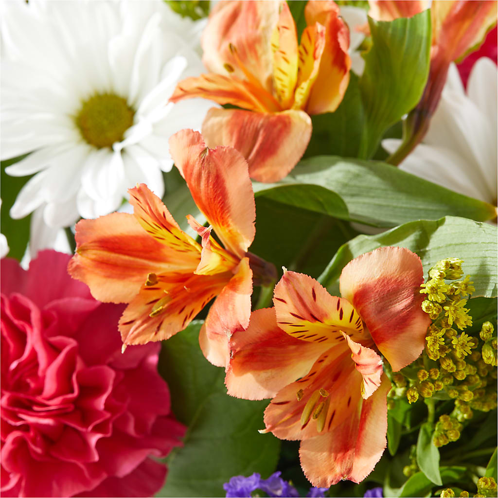 Oopsie Daisy Box Bouquet –  Blakley Flower Shop Llc, Blakely GA