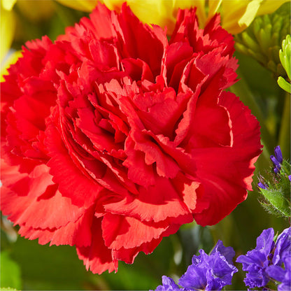 Brighter Days Bouquet –  Blakley Flower Shop Llc, Blakely GA