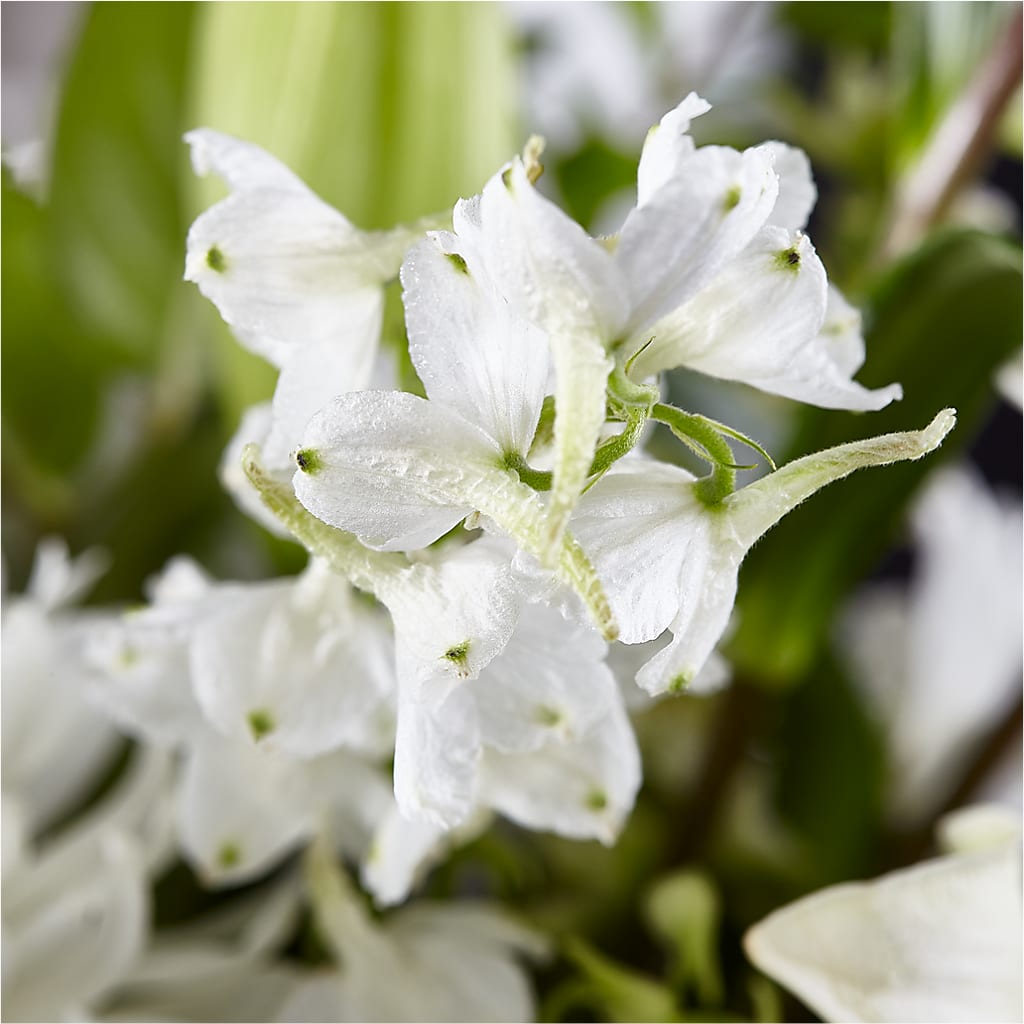 Classic Ivory – A Florist Original –  Blakley Flower Shop Llc, Blakely GA