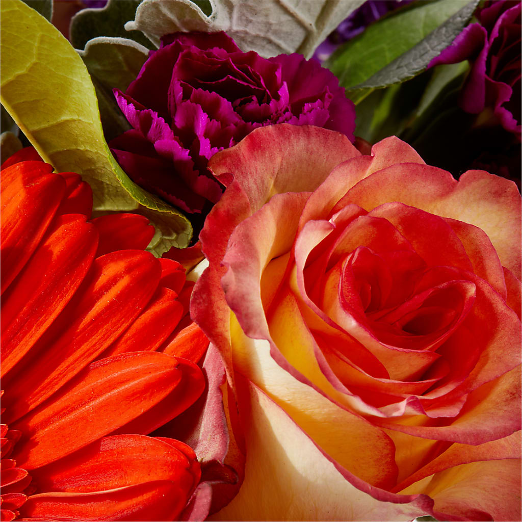 Sangria Bouquet –  Blakley Flower Shop Llc, Blakely GA