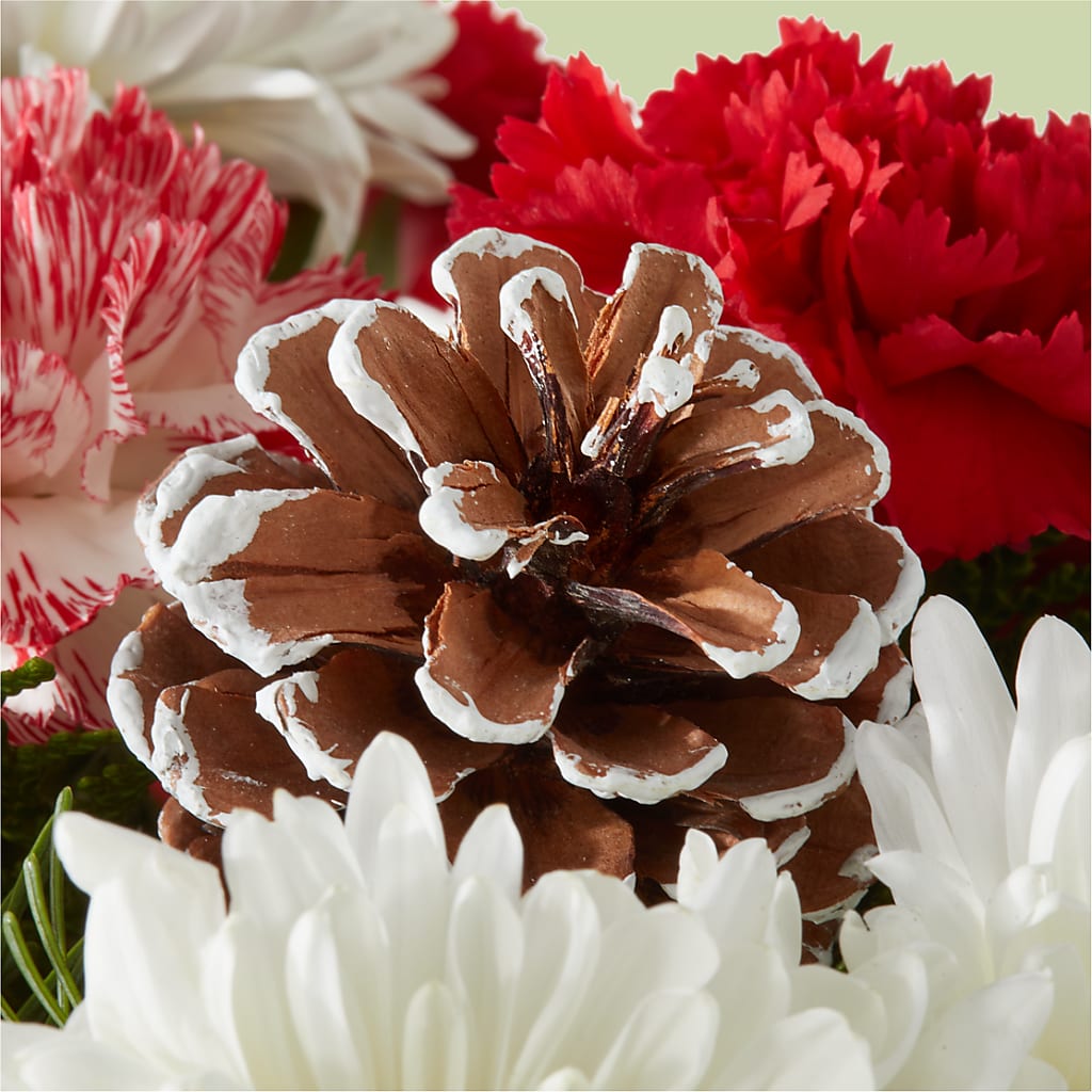 Candy Cane Lane Bouquet –  Blakley Flower Shop Llc, Blakely GA