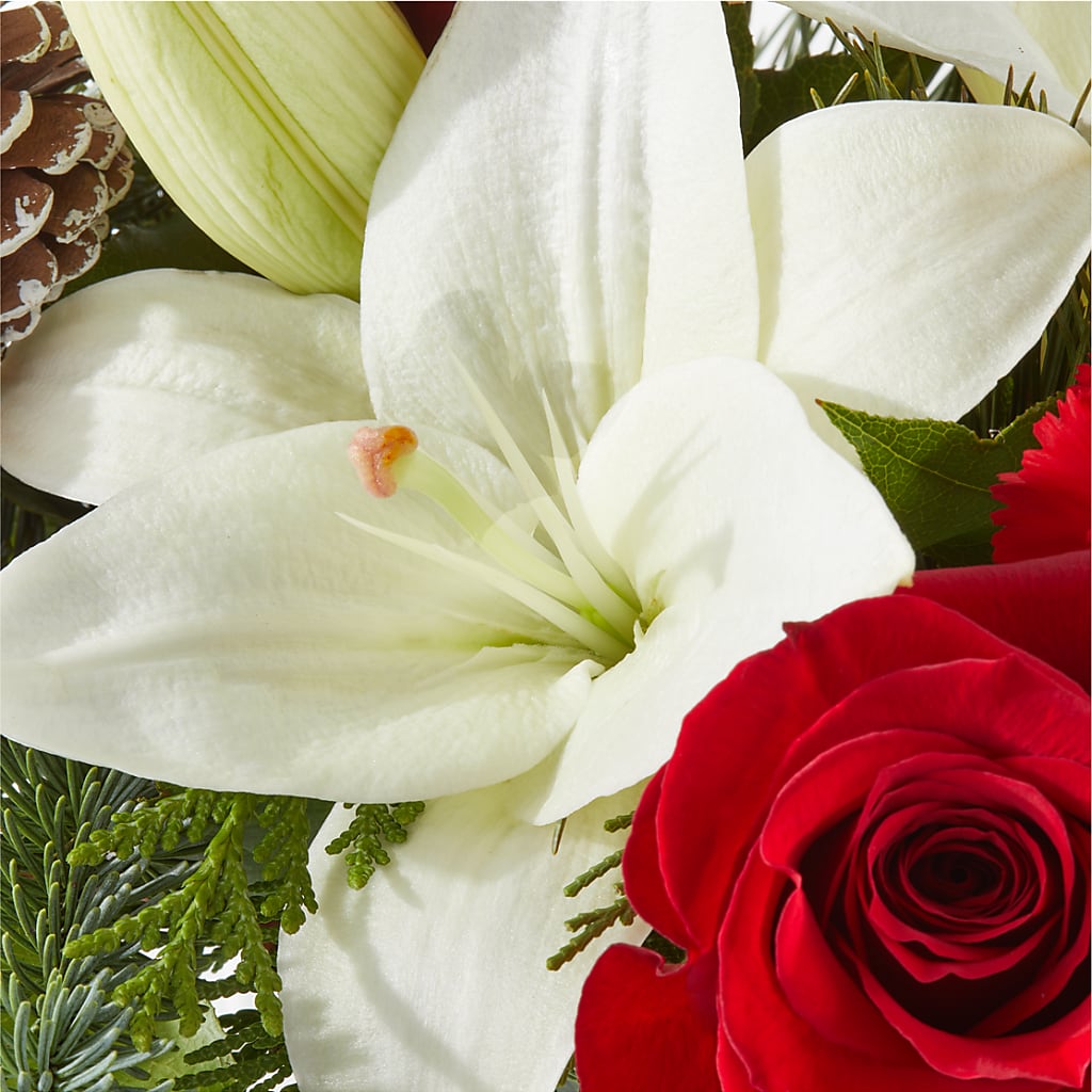 Oh So Jolly Bouquet –  Blakley Flower Shop Llc, Blakely GA