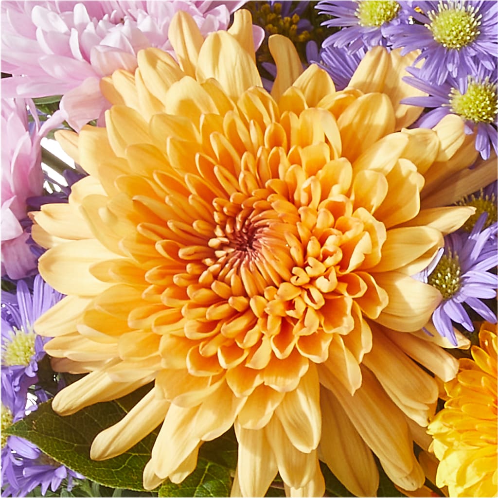 Countryside Bouquet –  Blakley Flower Shop Llc, Blakely GA