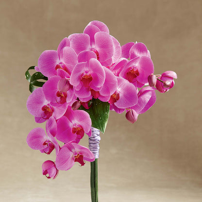 Glorious Bouquet –  Blakley Flower Shop Llc, Blakely GA