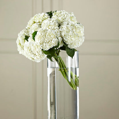 White Hydrangea Hand-Tied Bouquet –  Blakley Flower Shop Llc, Blakely GA