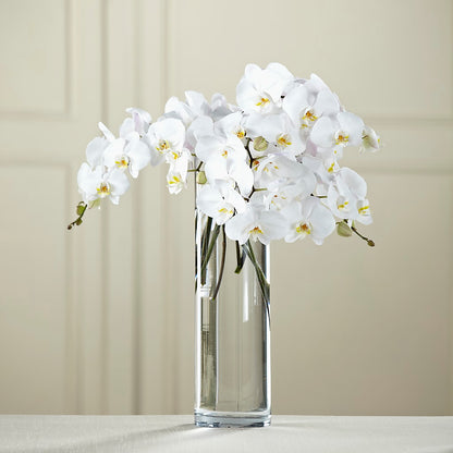 White Phalaenopsis Bouquet –  Blakley Flower Shop Llc, Blakely GA