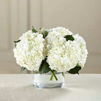 White Hydrangea Bouquet –  Blakley Flower Shop Llc, Blakely GA